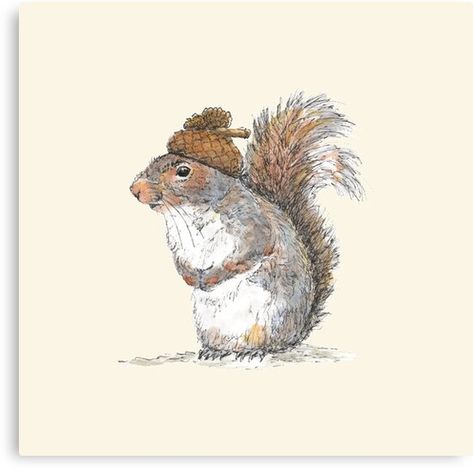 Drawing Of A Squirrel, Acorn Drawing, Acorn Hat, Squirrel Painting, Squirrel Illustration, Squirrel Art, Hat Art, A Squirrel, Pen And Watercolor