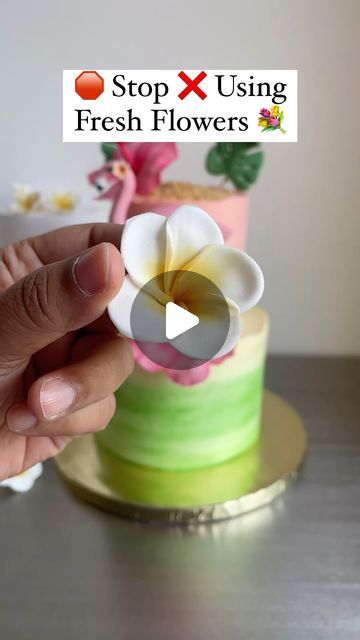 Sangeeta Ghosh | Baking Academy on Instagram: "🛑 Stop ✋ Using Fresh Flowers 💐   When you can make such adorable flowers in no time and minimum efforts 💪😎  ❤️ Save and Share ❤️  ✅Follow @sangeetas_cooking_mantra for more such tutorials   Products used @bakersvilleindia   #baking #2tiercake #cake #plumeria #edibleflowers #homebaking #homebaker #gumpasteflowers  [cake reels, baking, home baker, baking course, baking classes, cake, edible flowers, plumeria, Gumpaste Flower]" Gumpaste Cake Decorations, Cake Edible Flowers, Cake Reels, Flowers Plumeria, Fondant Figurine, Sugar Flowers Cake, Cake Decorating Courses, Buttercream Fondant, Cake Branding