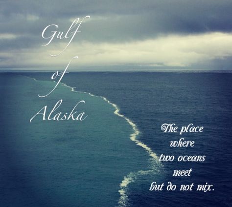 gulf of alaska where two oceans meet | gulf of alaska..where two oceans meet but do not mix Alaska Wallpaper, Two Oceans Meet, Gulf Of Alaska, Anchorage Alaska, Flowing Water, Oceans Of The World, Adventure Awaits, Images Photos, Vacation Spots