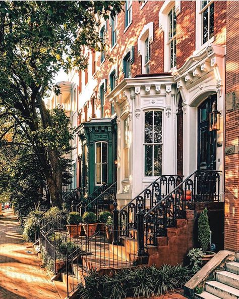 Ivy House, Row House, District Of Columbia, Entrance Gates, City Living, Best Cities, Favorite City, Washington Dc, Fall Colors