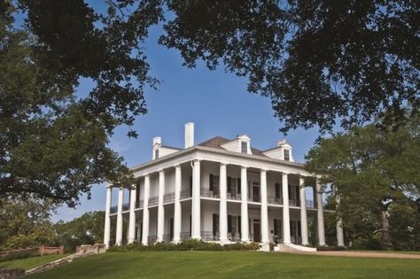 Spectacular Southern Mansion in Natchez Antebellum Mansions, Home Architecture Styles, Antebellum Home, Greek Revival Architecture, Greek Revival Home, Southern Mansions, Greek Architecture, Antebellum Homes, Victorian Interiors