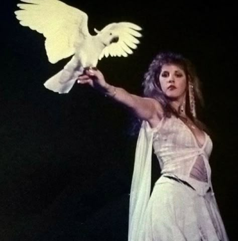 Stephanie Lynn, Stevie Nicks Style, Stevie Nicks Fleetwood Mac, White Witch, Band Stuff, Earth Angel, Indie Pop, Aesthetic Vibes, Witchy Woman