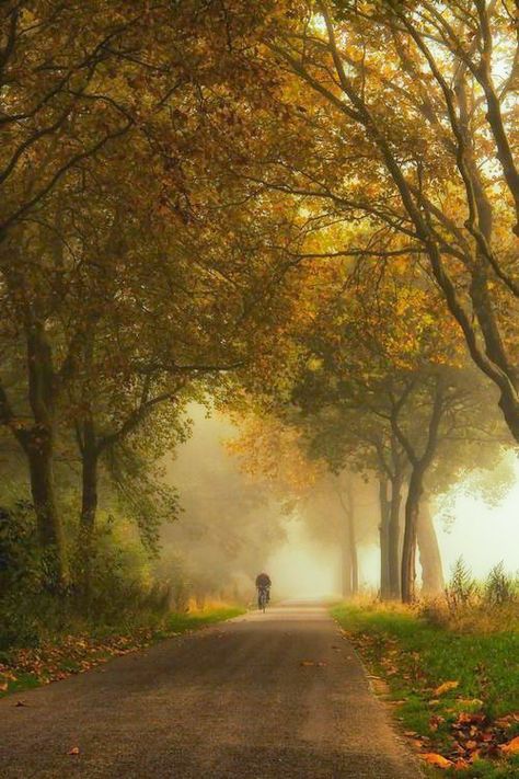 Autumn (no location given) by Marc Autumn Scenery, Dirt Road, Autumn Beauty, Pics Art, In The Woods, Land Scape, Beautiful World, Floral Painting, Mother Nature