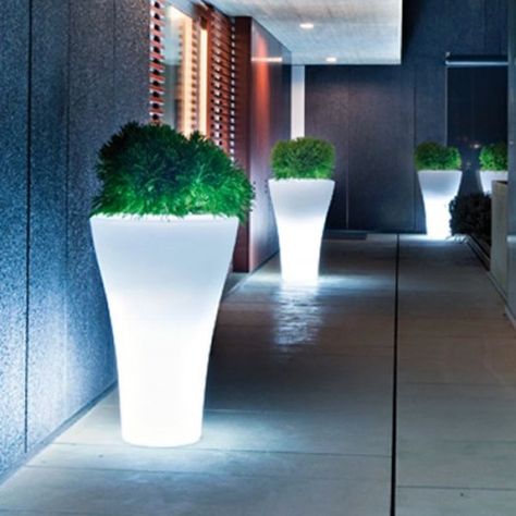 Lighted planters! Illuminated Planters, Rodolfo Dordoni, Indoor Outdoor Planter, Planter Pots Outdoor, Outdoor Pots, Garden Accents, Led Furniture, Outdoor Planters, Garden Accessories