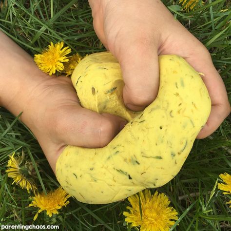 How to Naturally Dye Play Dough using Dandelions Easy Playdough Recipe, Forest Ideas, Sands Recipe, Play Dough Recipe, Homemade Playdough Recipe, Forest School Activities, Nature School, Playdough Recipe, Homemade Playdough