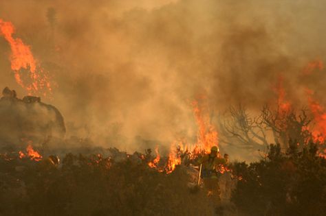 Beauty in destruction Mysterious Photography, Birds Eye View, Birds Eye, Firefighter, Favorite Places, Trees, Birds, Photography, Beauty