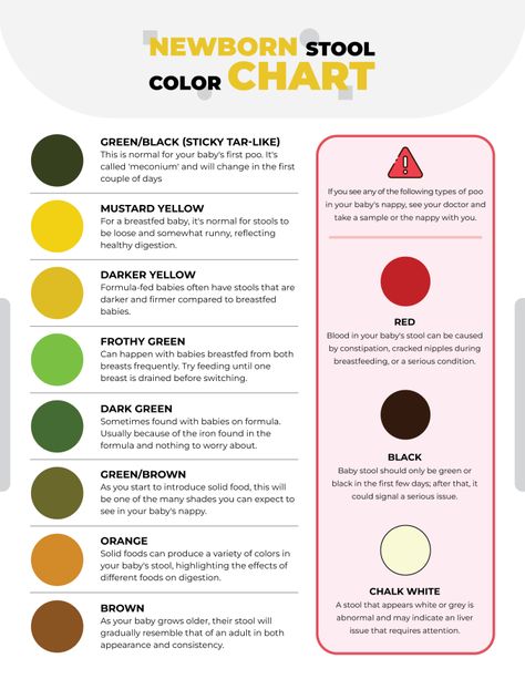 A Newborn Stool Color Chart template helps parents track their baby’s stool colors to spot potential health concerns early.  Designed by @wordlayouts Newborn Stool Chart, Baby Cheat Sheets, Helpful Newborn Charts, Newborn Charts Printable, Newborn Guidelines, Newborn Cheat Sheet, Helpful Baby Charts, Newborn Charts, Newborn Feeding Chart