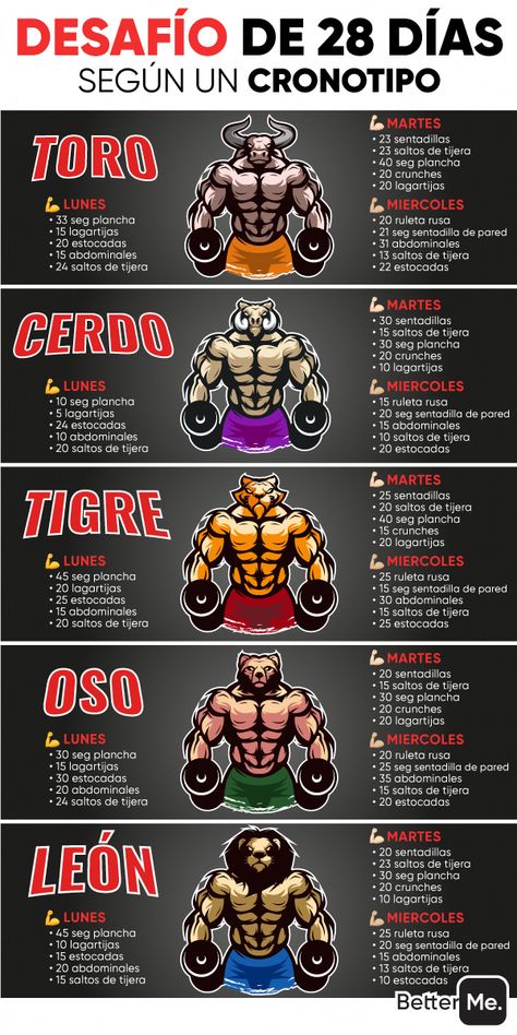 Sport Challenge, Workout Plan For Men, Trening Sztuk Walki, Gym Antrenmanları, Full Body Workout Routine, Gym Workout Chart, Workout Routine For Men, Workout Training Programs, Abs Workout Gym