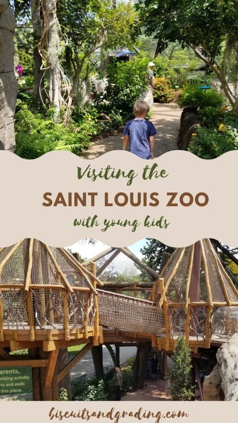 St Louis Zoo, St Louis Missouri, The Saint, What To Pack, Mom Blogger, Saint Louis, Water Park, Weekend Getaways, Vacation Trips