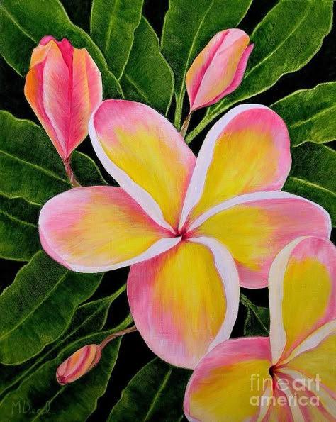 Plumeria Painting, Flores Plumeria, Painting Rainbow, Tropical Painting, Plumeria Flowers, Flower Painting Canvas, Tropical Art, Flower Art Painting, Art Inspiration Painting