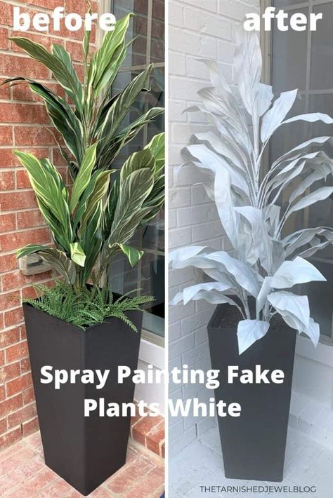 Have faded or discolored faux flowers that need some love? Spray paint them for an instant update! Try Spray Painting Fake Plants White: Front Porch Ideas by thetarnishedjewelblog.com. #spraypaintingplants #spraypainting #whitespraypaint #whitefarmhouse #blackandwhite #blackandwhitefrontporch #porchdecor #porch #smallporch #planters #blackplanters #blackplantersofinstagram #whiteplants #whitetrees #whiteporch #paintingplants #paintingtrees #paintingflowers #paintingflowersmakesmehappy Spray Painted Plastic Flower Pots, Spray Painted Fake Plants, Spray Paint Fake Plants, Spray Painted Plants, Painted Faux Plants, White Front Porch Ideas, Spray Paint Fake Flowers, Faux Plants For Front Porch, White Front Porch