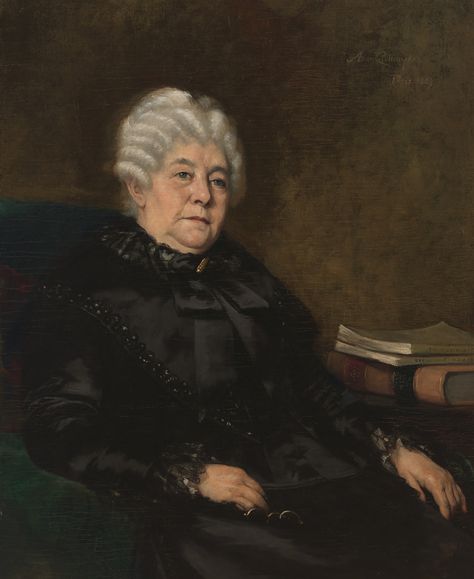 Seneca Falls Convention, Social Structure, Elizabeth Cady Stanton, Seneca Falls, Smithsonian Museum, Teaching History, Smithsonian Institution, National Portrait Gallery, Declaration Of Independence