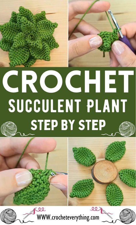 Crochet Succulent Plant Pattern Crochet Patterns Succulents, Crochet Succulent Plant Pattern Free, Crochet Gifts For Plant Lovers, Crocheted Succulents Free Pattern, Potted Plant Crochet Pattern, Plants Crochet Pattern Free, Free Succulent Crochet Pattern, Crochet String Of Pearls Free Pattern, Crocheted Plants Free Pattern