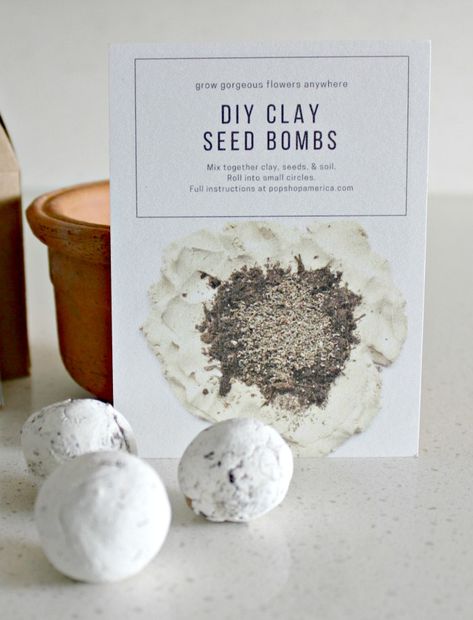 Seed Paper Diy, 20 Christmas Gift Ideas, Swamp Rabbit, Seed Balls, Rock Plants, Ball Recipes, Split Rock, Grow Gorgeous, Diy Teacher Gifts