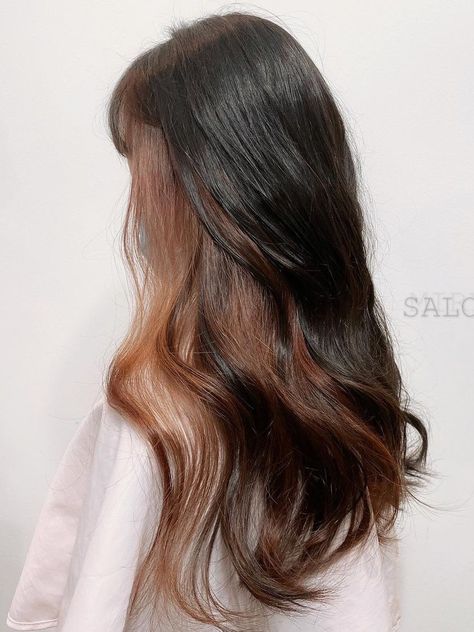 45+ Korean Secret Two-Tone Hair Color Ideas You Should Try in 2021 | Kbeauty Addiction Two Tone Hairstyle, Brown Hair Underneath, Undercolor Hair, Under Hair Color, Underdye Hair, Under Hair Dye, Two Color Hair, Hidden Hair Color, Peekaboo Hair Colors