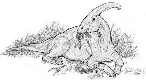 Dinosaur Drawing Ideas, Dino Drawing, Ancient Creatures, Prehistoric Animals Dinosaurs, Dinosaur Sketch, Cool Dinosaurs, Prehistoric Wildlife, Cat Anatomy, Dinosaur Images