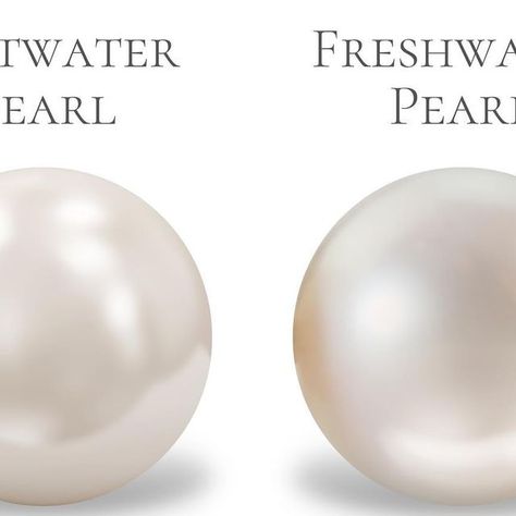 SALTWATER VS FRESHWATER PEARLS  According to the sources they come from, pearls, both natural and cultured, can be subdivided into saltwa... | Instagram South Pacific Islands, Pacific Islands, Saltwater Pearls, Mermaid Jewelry, French Polynesia, South Pacific, Aphrodite, Natural Pearls, Fresh Water