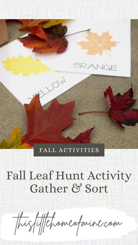 While recently browsing Pinterest, I spotted this free printable from Edventures with Kids, and I added it to my Fall Activities Pinterest Board! I love finding simple seasonal activities that are easy to throw in with our family’s typical routine. This Leaf Hunt was a winner – and absolutely perfect for this time of year! Leaf Hunt, Paper Sack, Seasonal Activities, Fall Reading, Leaf Cards, Free Homeschool, Orange Leaf, Fall Activities, Fall Leaf