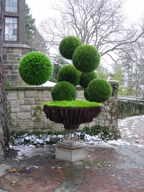 Plastic Grass, Amazing Grass, Topiary Garden, Have Inspiration, Formal Gardens, Garden Ornaments, Modern Garden, Dream Garden, Walkway