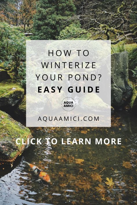 Pond Heater, Pond Netting, Fountain Ideas, Pond Aerator, Pond Cleaning, Pond Maintenance, Backyard Pond, Pond Pumps, Duck Pond