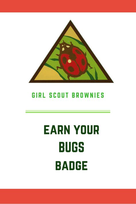 Ways to meet the requirements to earn the Brownie Bugs badge Brownies Bug Badge Ideas, Brownie Patches To Earn, Brownie Bug Badge Ideas, Brownies Badges Ideas, Brownie Bug Badge, Bugs Badge Brownies, Bug Badge Brownies, Brownie Badges Requirements, Brownie Bugs Badge