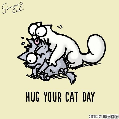 Simon's Cat on Instagram: “Go on! Give them an extra hug. Happy #HugYourCatDay... 🤗🐱” Hug Your Cat Day, Simons Cat, Cat Hug, Holiday Pictures, Comic Sans, Hug You, Cat Drawing, Cat Food, Cartoon Cat