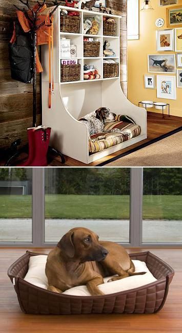 25 Modern Design Ideas for Pet Beds that Dogs and Owners Want Dog Nooks, Dog Nook Ideas, Dog Kennel Panels, Doggie Beds, Dog Nook, Dogs And Owners, Leather Dog Bed, Wooden Pet Bed, Luxury Dog Kennels