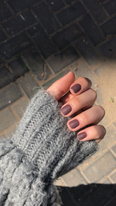 Short Brown Matte Nails, Mate Color Nails, Matte Dip Nails Short, Matte Manicure Ideas, Matte Gel Nails Ideas, Mauve Matte Nails, Simple Matte Nails Short, Matte Natural Nails, Matte Fall Nails Short