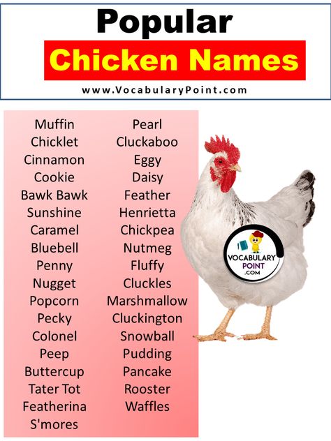 Have you ever wondered what goes into naming a chicken? It may seem like a trivial task, but for those who raise these feathered creatures, choosing the perfect moniker for their clucking companions can be quite the adventure. From clever puns to pop culture references, chicken names have evolved from simple identifiers to creative expressions ... <a title="999+ Best Chicken Names (Cute, Funny, Clever & Baby Chick Names)" class="read-more" href="https://vocabularypoint.com/chicken-nam... Silkie Chicken Names, Good Chicken Names, Cute Chicken Names, Chicken Pics, Chicken Flock, Farm Work, Names Cute, Chicken Bird, Chicken Farming