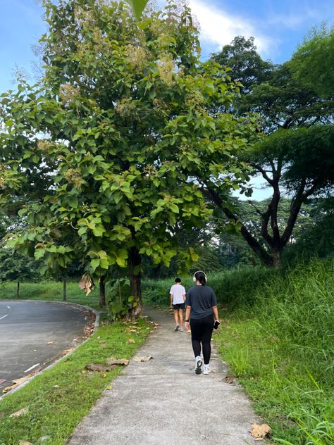 park walk jog aesthetic exercise Jog Aesthetic, Aesthetic Exercise, Jogging Aesthetic, Park Walk, Jogging Track, Morning Walks, Monkeys, Jogging, Mood Board