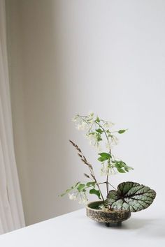 Untitled Art Floral Japonais, Arreglos Ikebana, Sogetsu Ikebana, Modern Wedding Flowers, Ikebana Arrangements, Ikebana Flower Arrangement, 강아지 그림, Modern Flower Arrangements, Floral Centerpiece