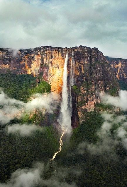 Angel Falls in Venezuela (Spanish: Salto Ángel; Pemon language: Kerepakupai Vená, meaning "waterfall of the deepest place" Angel Falls Venezuela, Mount Roraima, Angel Falls, Paradise Falls, Beautiful Waterfalls, Nature Images, Fallen Angel, Wildlife Photography, Nature Pictures