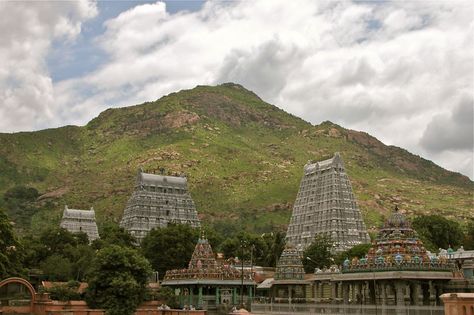 Sri Arunachalam as seen from across the Arunachaleswara Swamy Temple - India Sri Ramana Maharshi, Goddess Parvati, Temple India, Krishna Temple, Ramana Maharshi, Famous Waterfalls, Hindu Culture, Om Namah Shivaya, Elements Of Nature