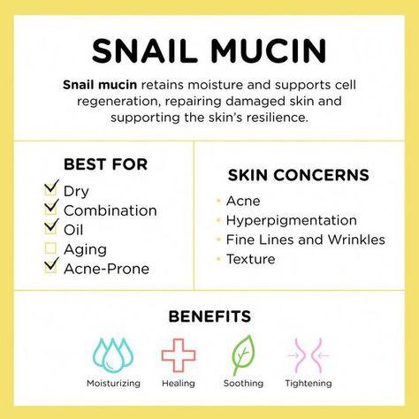 Ingredient 101: Snail Mucin Popular Skincare, Tighten Facial Skin, Acne Hyperpigmentation, Perfume Chanel, Popular Skin Care Products, Skin Facts, Skin Care Routine For 20s, Snail Mucin, Skin Care Steps