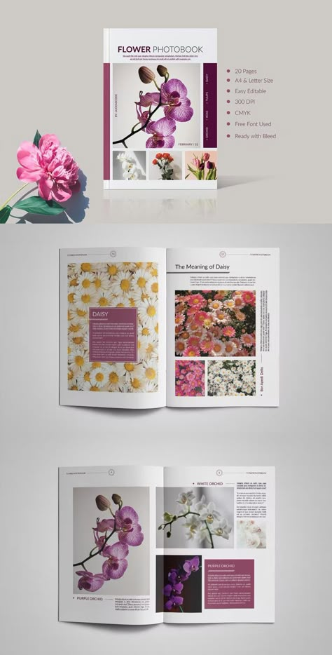 Flower Poster Design Graphics, Flower Catalog Design, Florist Flyer, Brochure Cover Page, Indesign Ideas, Magazine Flowers, Photobook Template, Letter Portrait, Portfolio Magazine