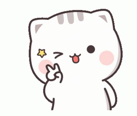 Yay Cute Sticker - Yay Cute Cat - Discover & Share GIFs Gif Animation, Cute Cat, Gif, White