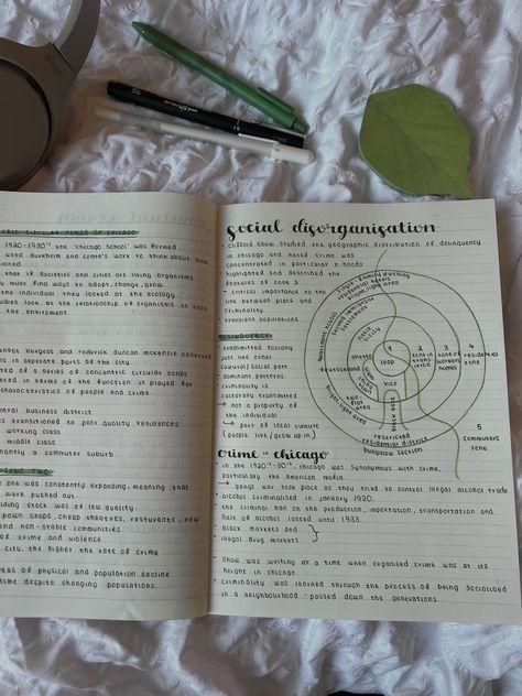 Green revision notes #study #studygram #studying #studymotivation #college #university #green #notes #notesinspiration Green Psychology Aesthetic, Green Studying Aesthetic, Aesthetic Green Study, Studying Minimalist, School Aesthetic Green, Green Aesthetic Stationary, Green Journaling, Study Aesthetic Green, Green School Aesthetic