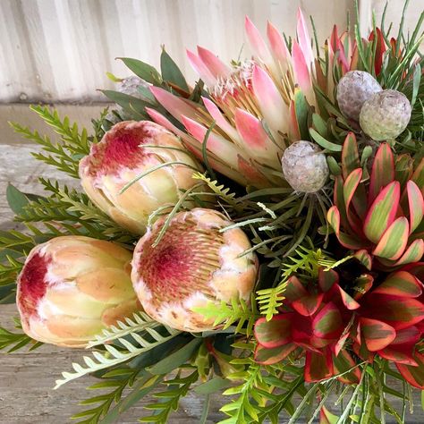 Protea Grandicolor and Sugarbush Protea Arrangements, Protea Centerpiece, Bouquet Recipe, Protea Bouquet, Tropical Flower Arrangements, Protea Flower, Church Flower Arrangements, Australian Native Flowers, Australian Native Plants