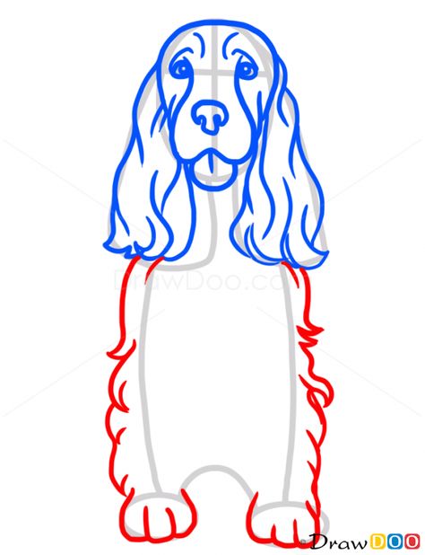 How to Draw Cocker Spaniel, Dogs and Puppies Dog Drawing Simple, Black Cocker Spaniel, Super Tattoo, Spaniel Art, Dog Rocks, Cocker Spaniel Puppies, Cocker Spaniel Dog, Spaniel Puppies, Arte Sketchbook