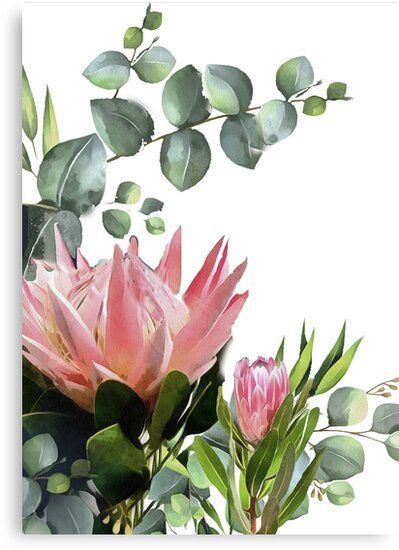 Millions of unique designs by independent artists. Find your thing. Proteas Painting, Protea Flower Painting, Proteas Flower, Protea Painting, Protea Art, Protea Flower, Painting Flower, Flower Art Painting, White Canvas