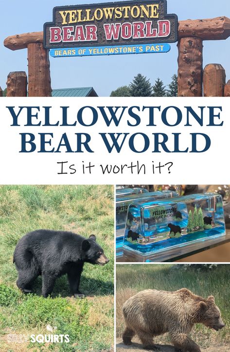 If you're traveling through Idaho, you may want to consider stopping by Yellowstone Bear World in Rexburg. Here's a complete review of why our family loved it and a couple things that could be improved. Check it out! Rexburg Idaho, Visit Yellowstone, Couple Things, The Visit, Road Trippin, Summertime Fun, Family Love, Idaho, Check It Out