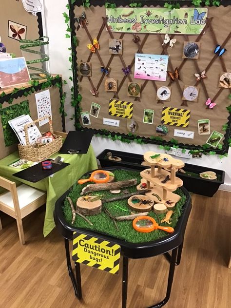 Bugs Hotel Ideas, Insect Inquiry Kindergarten, Sustainability Preschool, Mini Beasts Activities, Minibeast Classroom Display, Outdoor Provocations, Minibeast Display, Minibeasts Eyfs, Minibeasts Activities