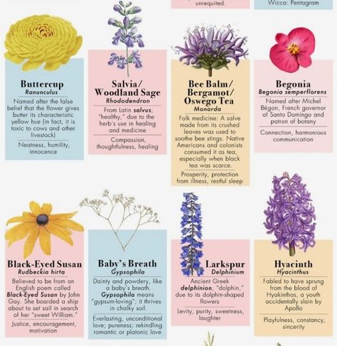 Different Flowers And Their Meanings, Symbolism Flowers, Mystery Ideas, Plant Magic, Plant Journal, Witch Garden, Different Types Of Flowers, Flower Meanings, Dark Flowers