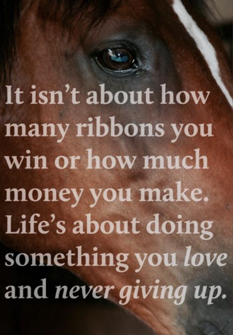 ༻⚜༺ ❤️ ༻⚜༺ It isn't about how many ribbons you win or how much money you make. Life's about doing something you love and never giving up. ༻⚜༺ ❤️ ༻⚜༺ Inspirational Horse Quotes, Horse Riding Quotes, Equestrian Quotes, Cowgirl Quotes, Riding Quotes, Country Girl Quotes, Country Quotes, Horse Quotes, Horse Life