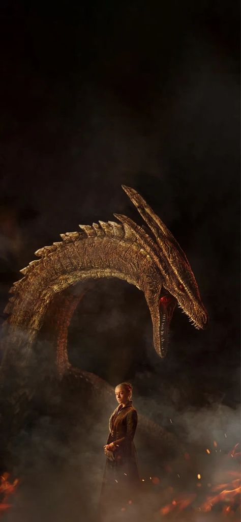 House Of The Dragon Season 2, Dragons Game Of Thrones, Drogon Game Of Thrones, Game Of Thrones Poster, Dragon Wallpaper Iphone, Dragon Wallpaper, Game Of Thrones Artwork, Dragon Icon, Dragon House