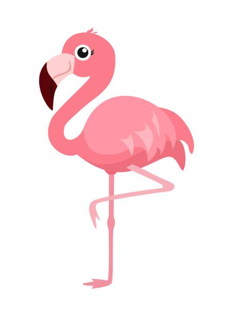 85,882 Flamingo Stock Photos, Pictures & Royalty-Free Images - iStock Flamingo Clipart Free, Flamingo Free Printable, Flamingo Flying, Flamingo Printables, Flamingo Background, Art Projects For Toddlers, Flamingo Clip Art, Cartoon Flamingo, Flamingo Coloring Page