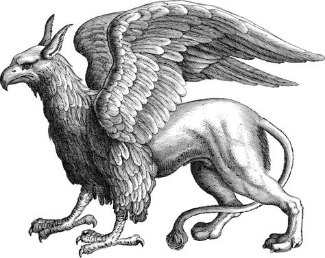 Ancient Persia, Mythical Animal, Mythical Beast, An Eagle, Medieval Fantasy, Art Plastique, Creature Art, Ancient Art, Mythical Creatures