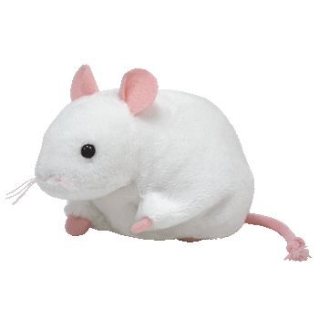 tiny the mouse White Mouse, White Beanies, Beanie Boos, Cute Stuffed Animals, Cute Memes, Wholesome Memes, Hamsters, Beanie Baby, Ty Beanie