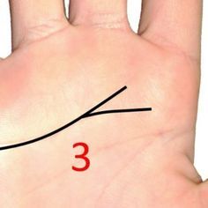 Forked Heart Line Meaning in Palmistry - Destiny Palmistry Palmistry For Beginners, Hand Lines Meaning, Basic Palm Reading, Hand Line Reading, Marriage Lines Palmistry, Palm Reading Lines, Chinese Face Reading, Indian Palmistry, Hand Reading