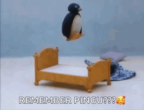 Pingu Jumping On Bed GIF - Pingu Jumping On Bed Bed - Discover & Share GIFs Pingu Memes, Pingu Pingu, Playlist Covers Photos, 웃긴 사진, Cartoon Memes, Cute Memes, Meme Faces, Really Funny Pictures, Reaction Pictures